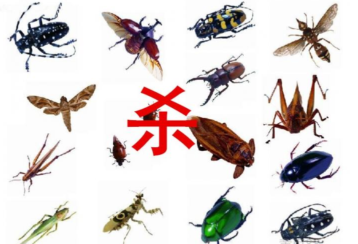 ҽڰϷεһЩ